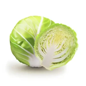 Cabbage