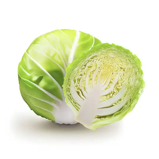 Cabbage